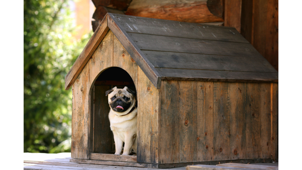 Marketing your Building a Dog House Online Business comes with many options to reach your core audience!