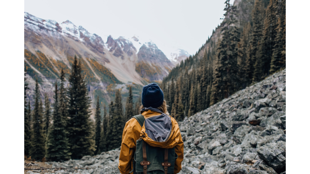 Focusing great content in the subject areas of physical fitness and nutrition as it pertains to hiking would be valuable content for a hiking online business!