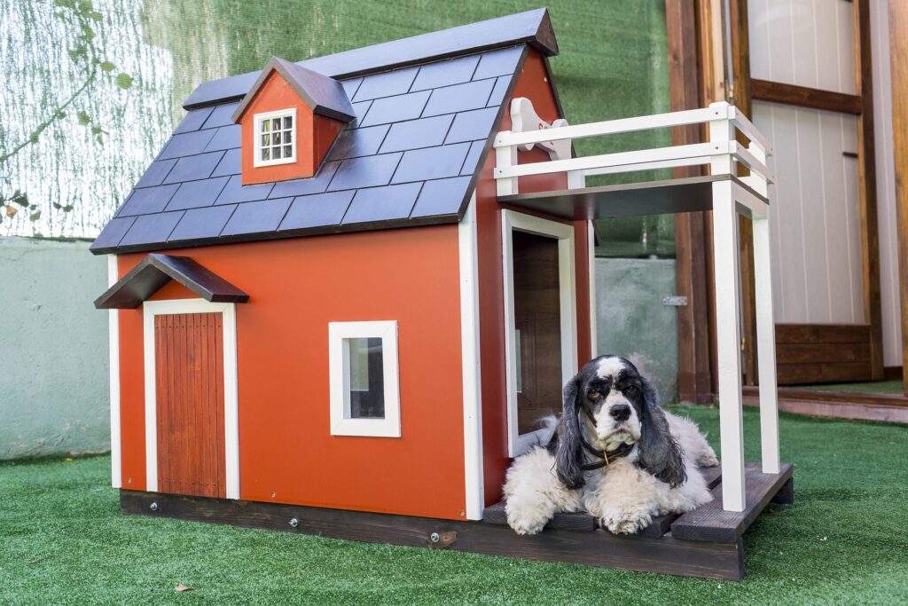 building a dog house online business ideas